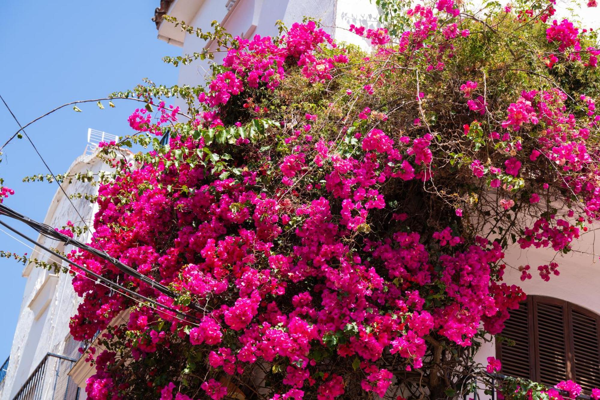 Apartament Paraiso Del Mar Parking Y Piscina 454 Marbella